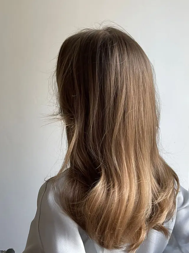 Long, glossy balayage hair from behind