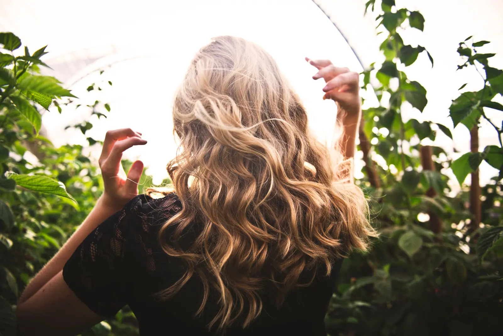 Sunlit honey balayage waves seen from behind, framed by green leaves