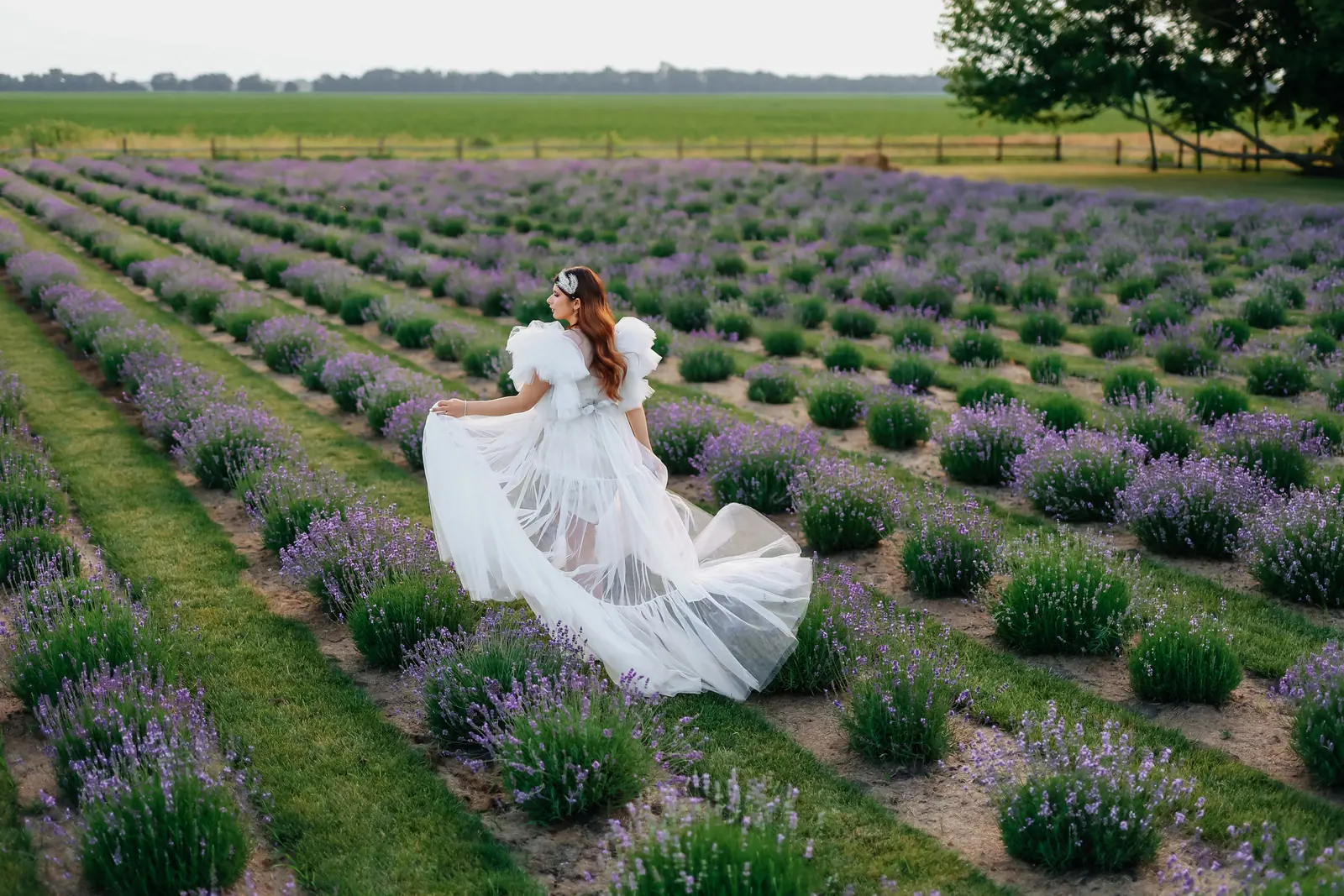 Bride in a flowing tulle gown twirling between rows of lavender in a wide Hill Country field