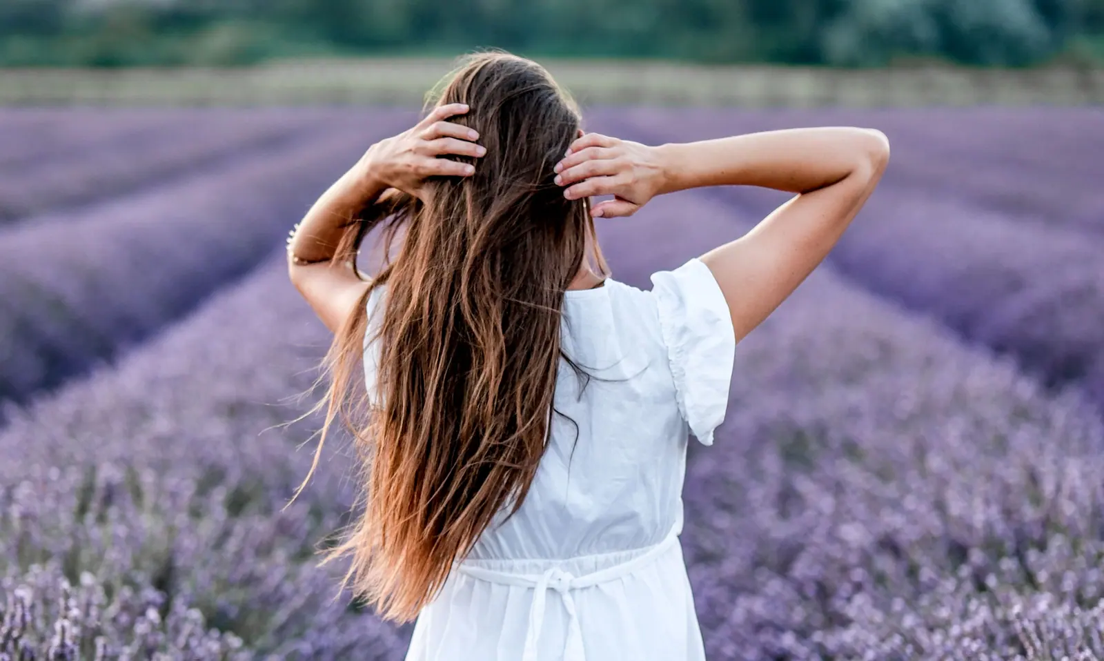 Woman with long brown hair standing in a field of purple lavender, seen from behind