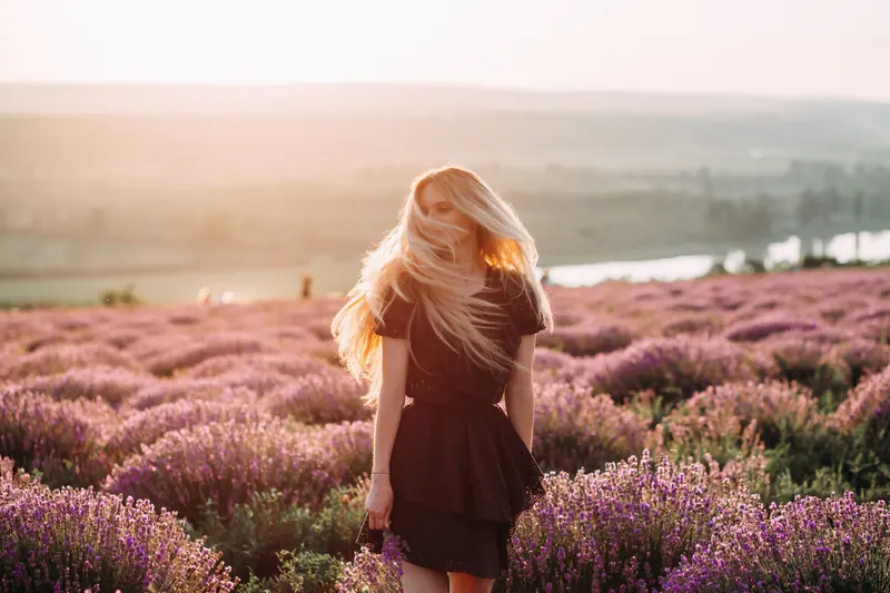 Woman with long hair in a blooming lavender field at sunset