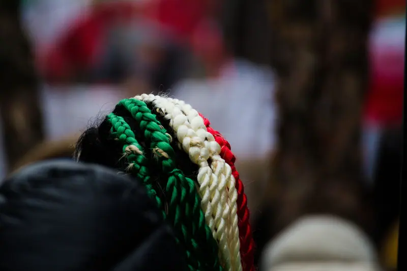 Close-up of vibrant braided hair in festive colors at a Brussels celebration.