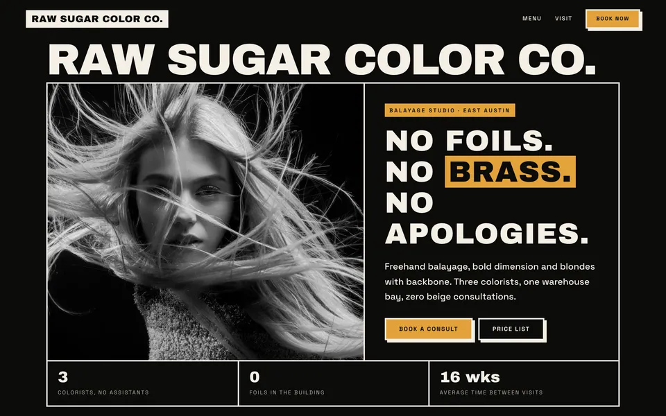 Raw Sugar Color Co. website design — bold brutalist type layout